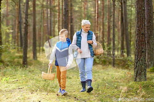 Image of grandmother and grandson with mushrooms in forest