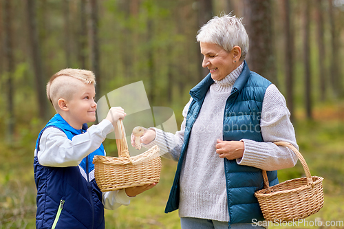 Image of grandmother and grandson with mushrooms in forest