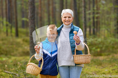 Image of grandmother and grandson with mushrooms in forest