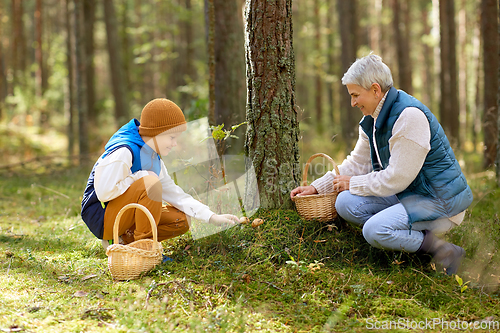 Image of grandmother and grandson with mushrooms in forest