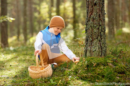 Image of happy boy with basket picking mushrooms in forest