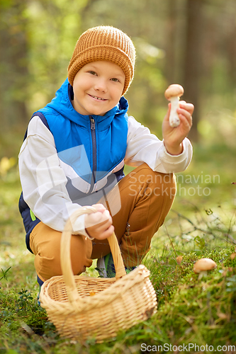 Image of happy boy with basket picking mushrooms in forest