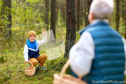 Image of grandmother and grandson with mushrooms in forest