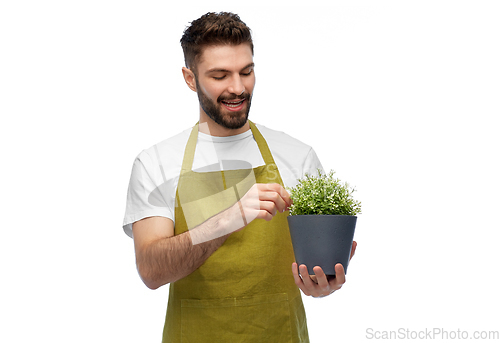 Image of happy smiling male gardener with flower in pot