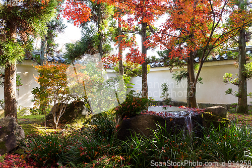 Image of Traditional Kokoen Garden with maple tree