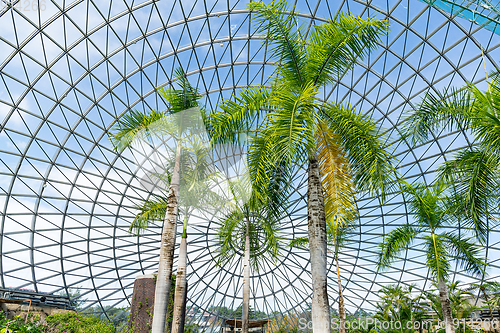 Image of Greenhouse of garden