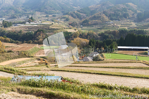 Image of Straw rural landscape