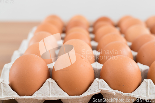 Image of Chicken Egg in pack