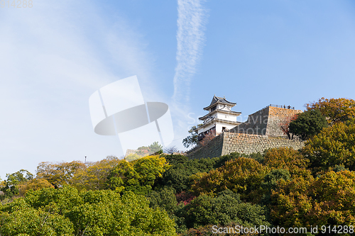 Image of Traditional Marugame Castle