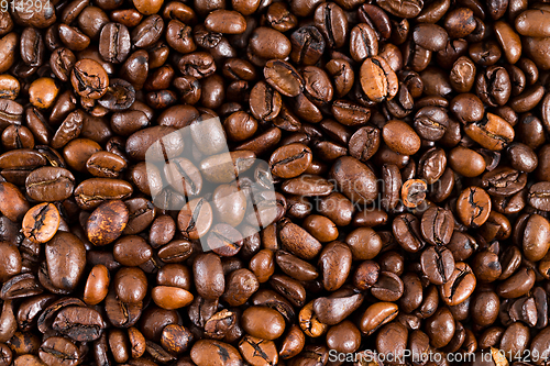 Image of Coffee bean