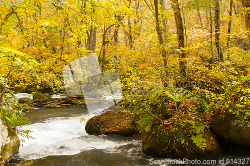 Image of Oirase Mountain Stream in autumn