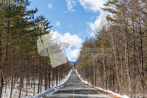 Image of Winter road and trees covered with snow