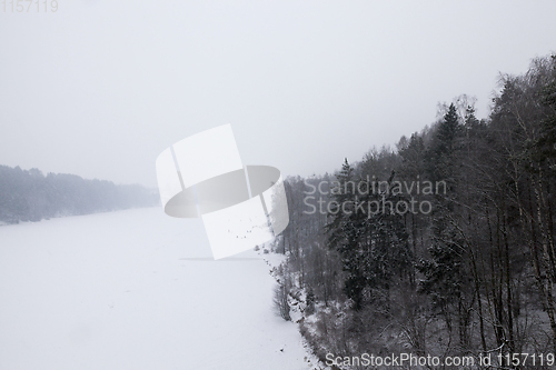 Image of forest in winter