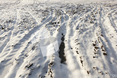 Image of Snow drifts on the ground