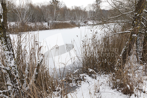 Image of frozen small pond