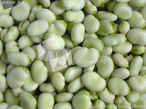 Image of Broad beans