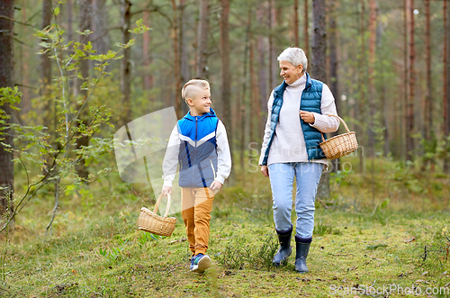 Image of grandmother and grandson with mushrooms in forest