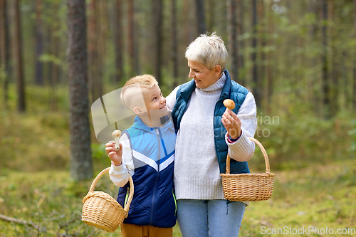 Image of grandmother and grandson with mushrooms in forest