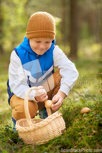 Image of happy boy with basket picking mushrooms in forest