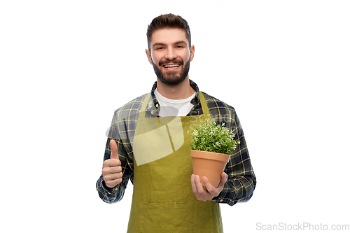 Image of happy male gardener or farmer with flower in pot