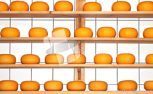 Image of Yellow round Cheeses riping on the shelves