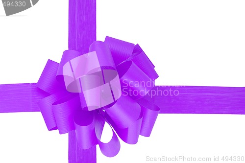 Image of Purple Ribbon