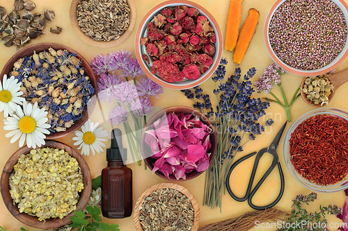 Image of Healing Herbs and Flowers for Essential Oil