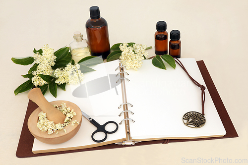 Image of Naturopathic Elderflower Herb Used in Alternative Medicine