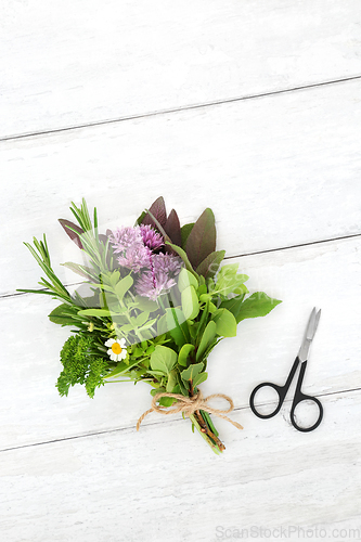 Image of Healthy Herbs Tied in a Bunch for Food Seasoning 