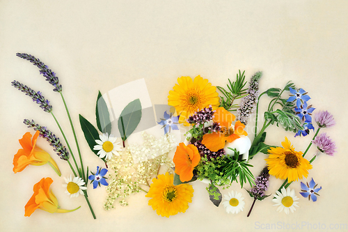 Image of Summer Flowers and Herbs for Natural Herbal Plant Based Remedies