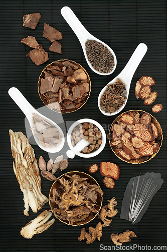 Image of Acupuncture Treatment with Chinese Herbs and Spice 