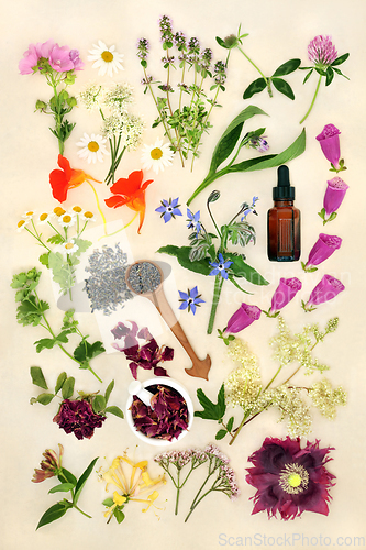 Image of Aromatherapy Essential Oil Preparation with Flowers and Herbs  
