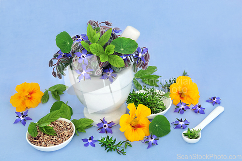 Image of Immune System Boosting Herbs to Treat Colds and Flu  
