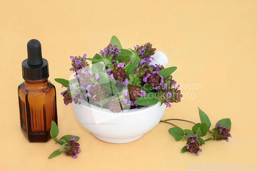 Image of Self Heal Herb Alternative Herbal Medicine