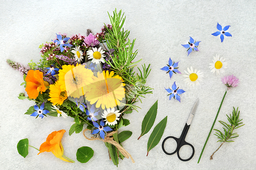 Image of Preparing Herbs and Flowers for Alternative Plant Medicine