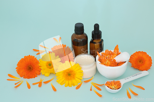 Image of Calendula Flowers for Natural Skincare Healing Remedy