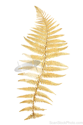 Image of Gold Fern Leaf Design Element