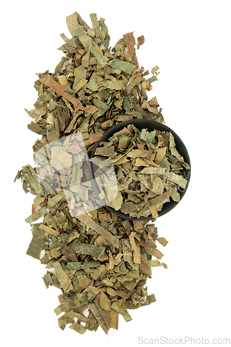 Image of Loquat Leaf Herb Chinese Herbal Medicine