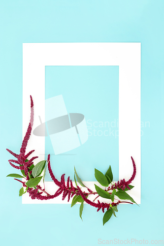 Image of Amaranthus Plants Abstract Background Frame 