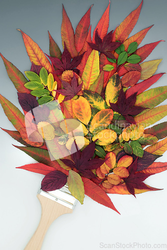 Image of Beautiful Paintbrush Splash of Vivid Autumn Leaves