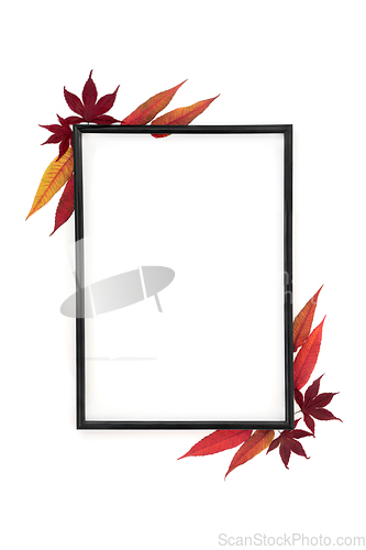 Image of Autumn Leaves Minimal Abstract Background Border