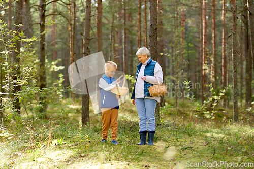 Image of grandmother and grandson with mushrooms in forest