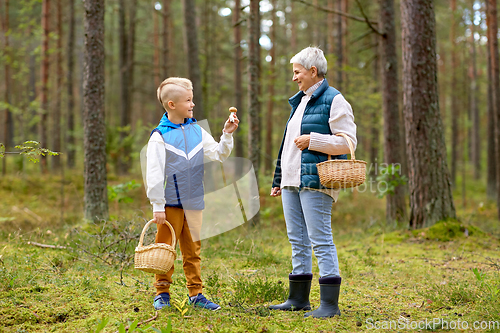 Image of grandmother and grandson with mushrooms in forest