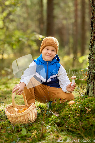 Image of happy boy with basket picking mushrooms in forest