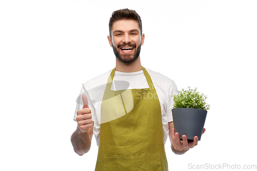 Image of happy male gardener with flower showing thumbs up