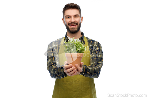 Image of happy male gardener or farmer with flower in pot