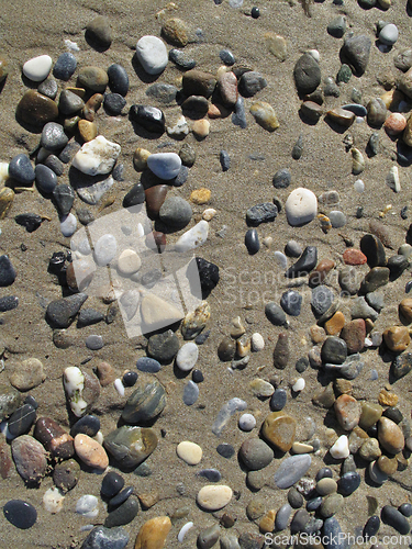 Image of Wet different sea pebbles on the sandy beach