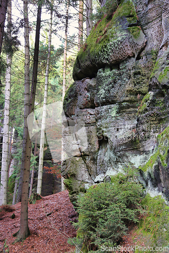 Image of Rocks and trees, Bohemian Paradise (Cesky Raj), Czech Republic