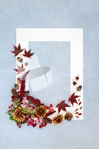 Image of Autumn Leaves and Flowers Background Border Design