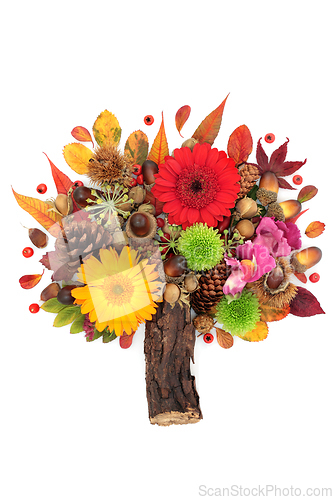 Image of Colourful Autumn and Thanksgiving Abstract Tree Design